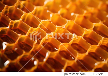Honey, Close up product of honey and bee 111985949