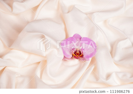 Lovely orchid flower on beige satin bedding. Lovely orchid flower on beige satin bedding. 111986276