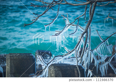 Branches frozen with water spray Branches frozen with water spray 111986370