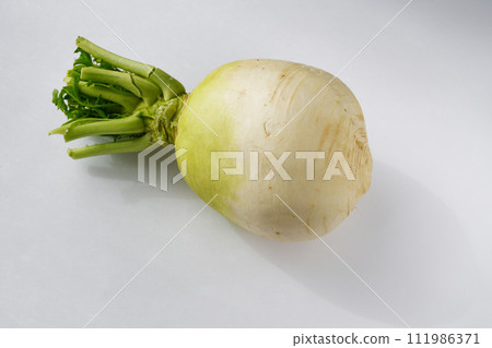 Shogoin Daikon 111986371
