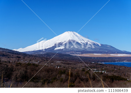 從山中湖全景平台看富士山 111986439