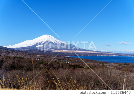 從山中湖全景平台看富士山 111986443