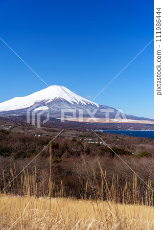 從山中湖全景平台看富士山 111986444