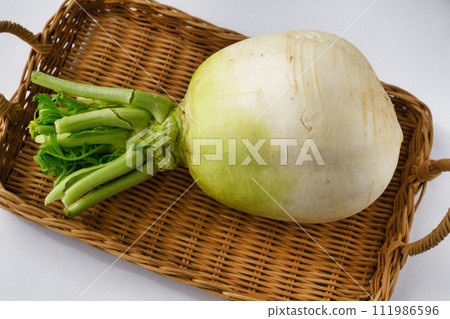Shogoin Daikon 111986596