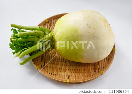 Shogoin Daikon 111986804