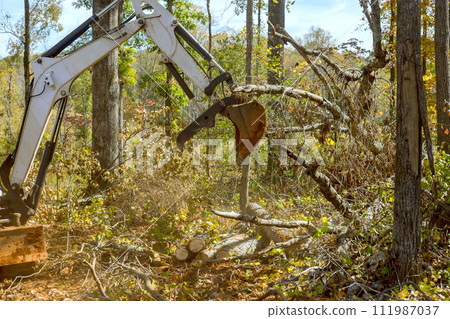 Construction site preparation with skid steer tractor remove roots clearing land Construction site preparation with skid steer tractor remove roots clearing land 111987037