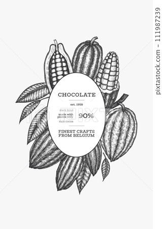 Cocoa design template. Chocolate cocoa beans background. Vector hand drawn illustration. Vintage style illustration. Cocoa design template. Chocolate cocoa beans background. Vector hand drawn illustration. Vintage style illustration. 111987239