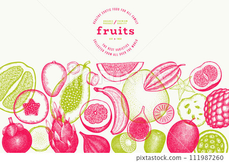 Tropical Fruit Design Template. Vector Hand Drawn Exotic Fruit Banner. Vintage Style Menu Illustration. Tropical Fruit Design Template. Vector Hand Drawn Exotic Fruit Banner. Vintage Style Menu Illustration. 111987260