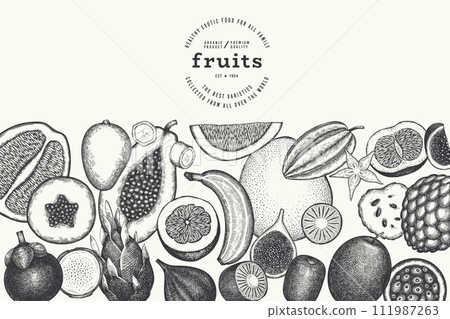 Tropical Fruit Design Template. Vector Hand Drawn Exotic Fruit Banner. Vintage Style Menu Illustration. 111987263