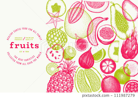 Tropical Fruit Design Template. Vector Hand Drawn Exotic Fruit Banner. Vintage Style Menu Illustration. Tropical Fruit Design Template. Vector Hand Drawn Exotic Fruit Banner. Vintage Style Menu Illustration. 111987279