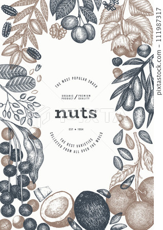Hand Drawn Nuts Branch And Kernels  Template. Organic Seed Vector Design. Retro Nut Illustration. Engraved Style Botanical Banner. 111987317