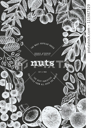 Hand Drawn Nuts Branch And Kernels Template. Organic Seed Vector Design. Retro Chalk Board Nut Illustration. Hand Drawn Nuts Branch And Kernels Template. Organic Seed Vector Design. Retro Chalk Board Nut Illustration. 111987329