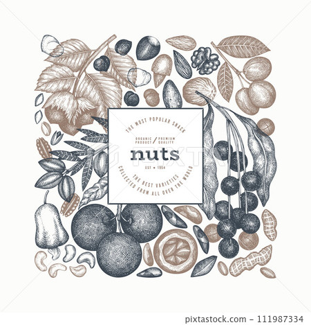 Hand Drawn Nuts Branch And Kernels Template. Organic Seed Vector Design. Retro Nut Illustration. Engraved Style Botanical Banner. Hand Drawn Nuts Branch And Kernels Template. Organic Seed Vector Design. Retro Nut Illustration. Engraved Style Botanical Banner. 111987334