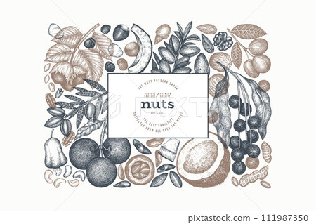 Hand Drawn Nuts Branch And Kernels Template. Organic Seed Vector Design. Retro Nut Illustration. Engraved Style Botanical Banner. Hand Drawn Nuts Branch And Kernels Template. Organic Seed Vector Design. Retro Nut Illustration. Engraved Style Botanical Banner. 111987350