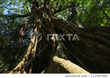 高知縣土佐清水市松尾的Akou 111987960