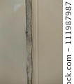 Black mold in the bath - Photo of ordinary household 111987987