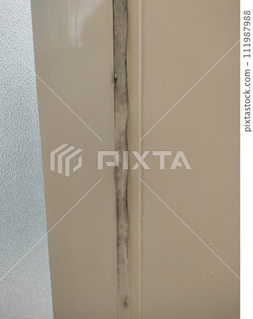 Black mold in the bath - Photo of ordinary household 111987988
