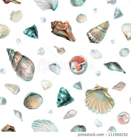 Seashell Pattern on isolated background. Hand drawn watercolor seamless ornament with Sea Shells for wrapping paper or textile in nautical style. Underwater illustration with cockleshell and scallop. Seashell Pattern on isolated background. Hand drawn watercolor seamless ornament with Sea Shells for wrapping paper or textile in nautical style. Underwater illustration with cockleshell and scallop. 111988292