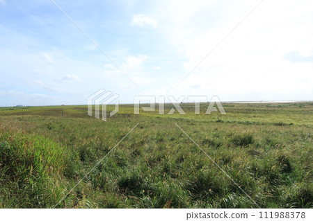 Hokkaido Notsuke Peninsula View of the coast from the wooden path near Todowara 111988378