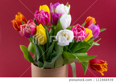 Bouquet of colorful tulips. Tulip spring flower. Floral flowers background 111988439