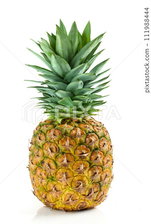 fresh ripe pineapple fresh ripe pineapple 111988444