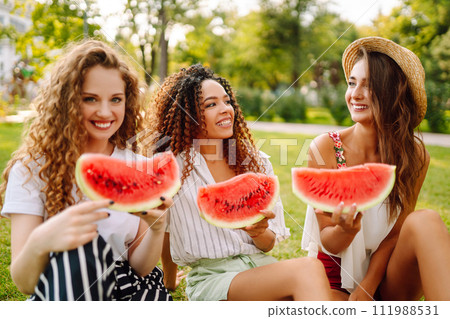 Cheerful happy friends camping on the grass, eating watermelon, laughing. 111988531