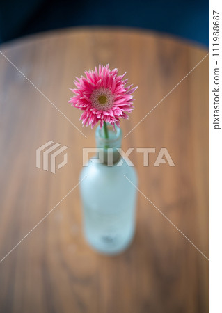 [Interior] A single flower 111988687