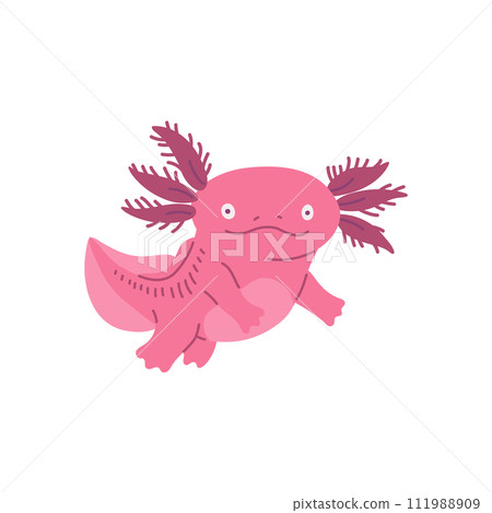 Cute axolotl funny character of salamander, flat vector illustration isolated. 111988909