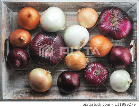 different varieties of onions - green, yellow, white and red onions 111989279