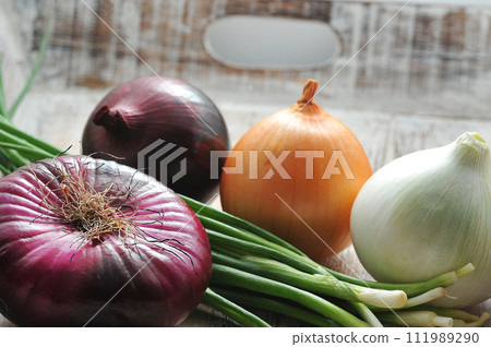 different varieties of onions - green, yellow, white and red onions 111989290