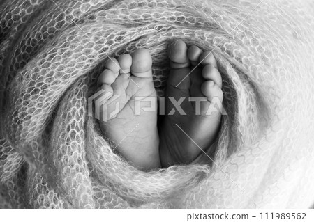 The tiny foot of a newborn baby. Soft feet of a new born in a wool blanket. Close up of toes, heels and feet of a newborn. Black and white Macro photography. The tiny foot of a newborn baby. Soft feet of a new born in a wool blanket. Close up of toes, heels and feet of a newborn. Black and white Macro photography. 111989562