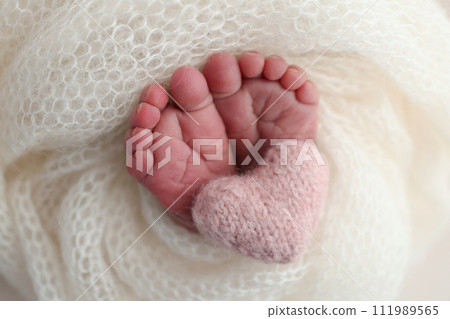The tiny foot of a newborn baby. Soft feet of a new born in a white wool blanket. Close up of toes, heels and feet of a newborn. Knitted pink heart in the legs of a baby. Macro photography The tiny foot of a newborn baby. Soft feet of a new born in a white wool blanket. Close up of toes, heels and feet of a newborn. Knitted pink heart in the legs of a baby. Macro photography 111989565
