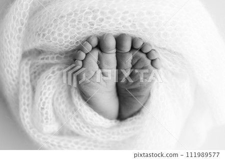 The tiny foot of a newborn baby. Soft feet of a new born in a wool blanket. Close up of toes, heels and feet of a newborn. Black and white Macro photography. The tiny foot of a newborn baby. Soft feet of a new born in a wool blanket. Close up of toes, heels and feet of a newborn. Black and white Macro photography. 111989577