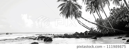 Black and white photo of the sea coast with palm trees and rocks, vacation on the sea or ocean, banner Black and white photo of the sea coast with palm trees and rocks, vacation on the sea or ocean, banner 111989875
