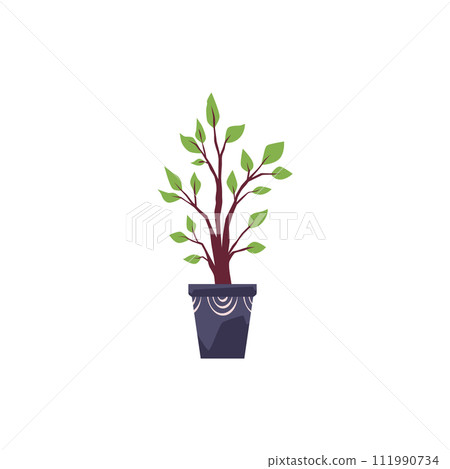 Tree plant in the pot, vector cartoon green foliage on trunk, Ficus houseplant for interior design, decorative element Tree plant in the pot, vector cartoon green foliage on trunk, Ficus houseplant for interior design, decorative element 111990734