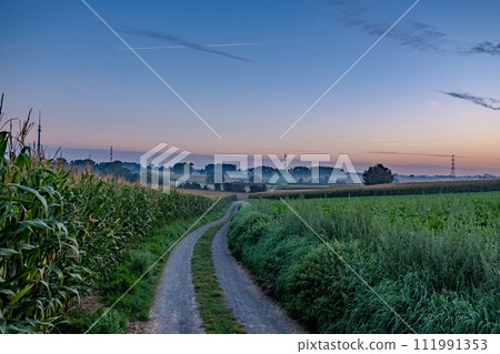 Twilight Whispers on a Rural Trail Twilight Whispers on a Rural Trail 111991353