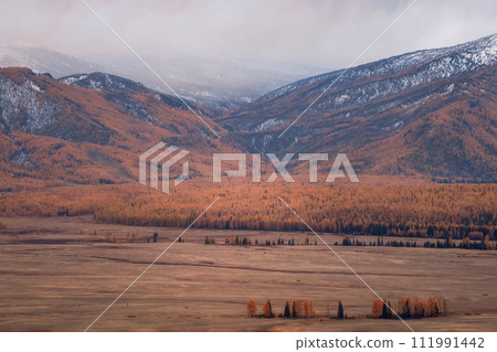 Foggy autumn valley. Scenic mountain landscape. 111991442