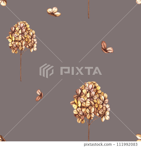 Seamless pattern with branch of dried hydrangea, flowers and wild dry grass. Vintage wallpaper in boho style with herbs and wildflowers. Floral garden elements Seamless pattern with branch of dried hydrangea, flowers and wild dry grass. Vintage wallpaper in boho style with herbs and wildflowers. Floral garden elements 111992083