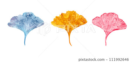 Imprints of autumn leaves in blue, golden, pink colors. Gingko leaf. Set isolated on white background. Ginkgo, palm, dry abstract leaves. Watercolor illustration of colorful leaf silhouettes Imprints of autumn leaves in blue, golden, pink colors. Gingko leaf. Set isolated on white background. Ginkgo, palm, dry abstract leaves. Watercolor illustration of colorful leaf silhouettes 111992646