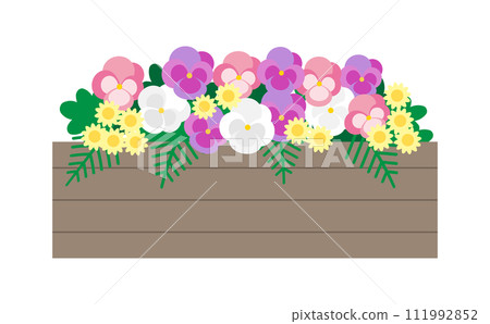 Illustration of pink and purple pansies in a planter 111992852