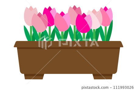 花盆中粉紅色鬱金香的插圖 花盆中粉紅色鬱金香的插圖 111993026
