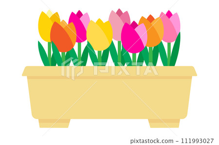 Illustration of colorful tulips in a planter 111993027