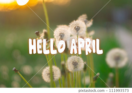 Hello April - Springtime, flowers blossoming twigs. The beginning of the season 111993573