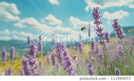 Bees buzzing around a cluster of fragrant lavender against a backdrop of azure skies and rolling hills 111994072