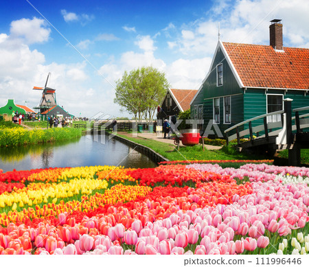 old houses of Zaanse Schans, Netherlands 111996446