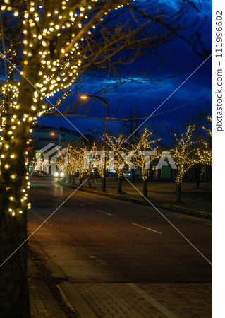 Illuminations on street trees Illuminations on street trees 111996602