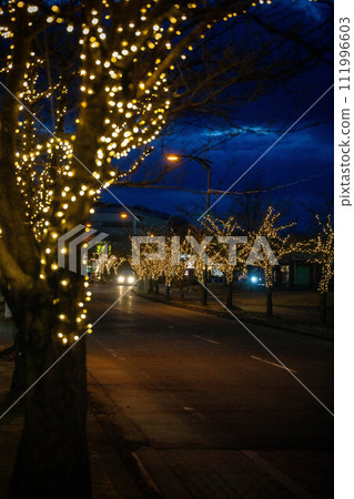 Illuminations on street trees Illuminations on street trees 111996603