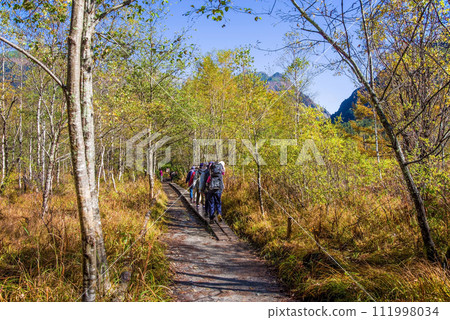 ``Autumn Kamikochi'' well-developed walking course 111998034
