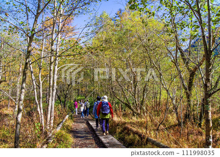 ``Autumn Kamikochi'' well-developed walking course 111998035