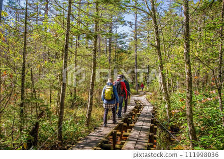 ``Autumn Kamikochi'' well-developed walking course 111998036